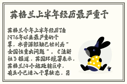 久久久久久精品免费无码无
