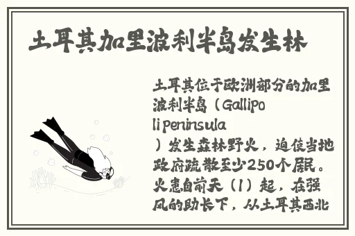 大S与具俊晔官宣结婚